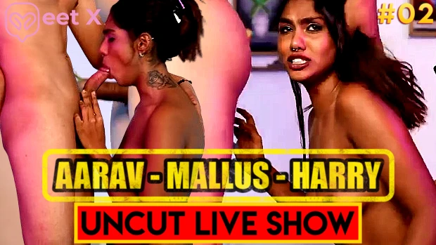 Aarav Mallus Harry P02 2024 Hindi Uncut Live Show – MeetX